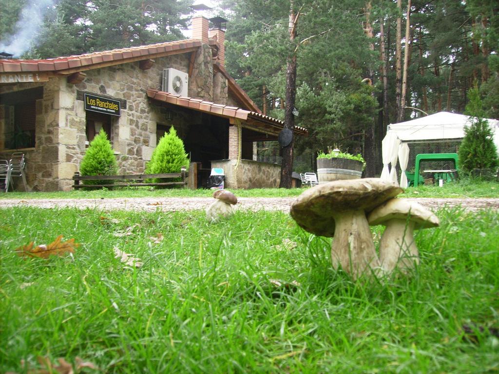 Los Ranchales Vinuesa Εξωτερικό φωτογραφία